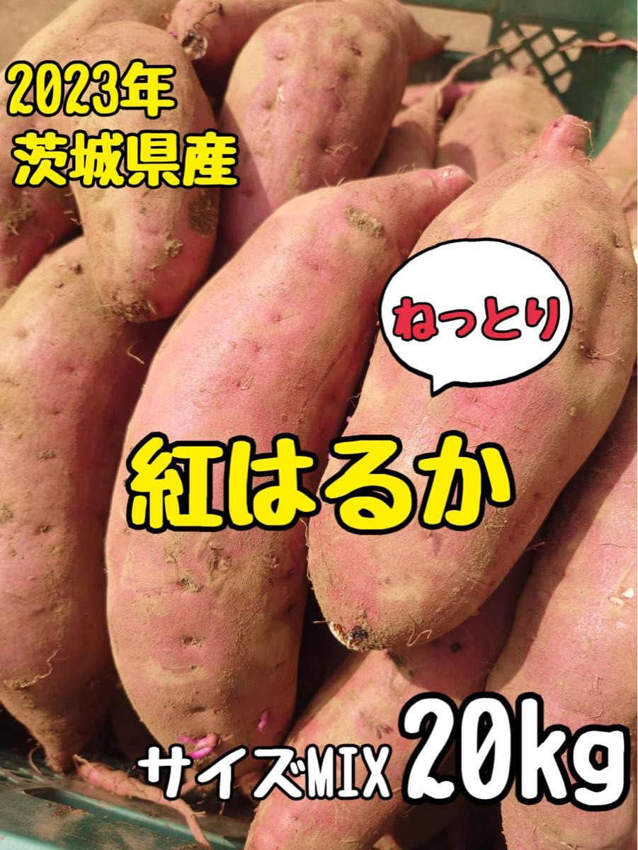 2023年新物 茨城県産 サイズミックス 紅はるか さつまいも 20kg 2023年新物 茨城県産 サイズミックス 紅はるか さつまいも 20kg