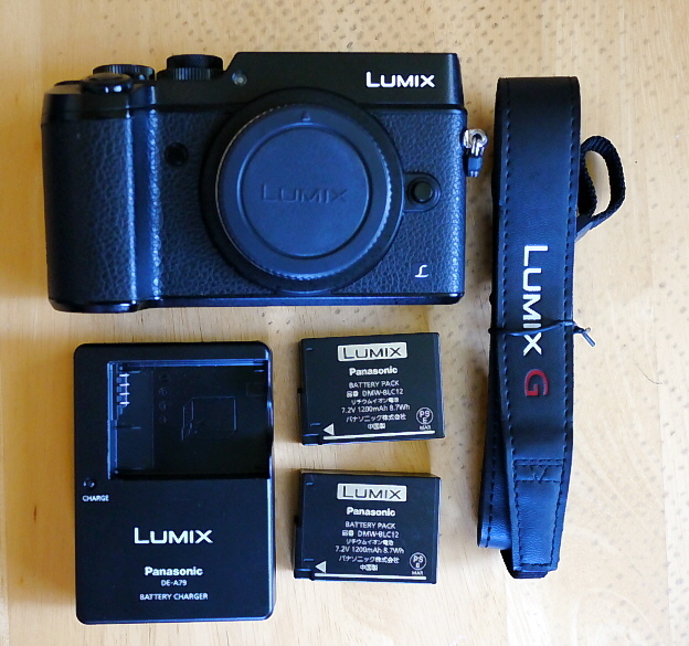 即納！最大半額！ Panasonic 美品 １年保証 中古 LUMIX ブラック 標準