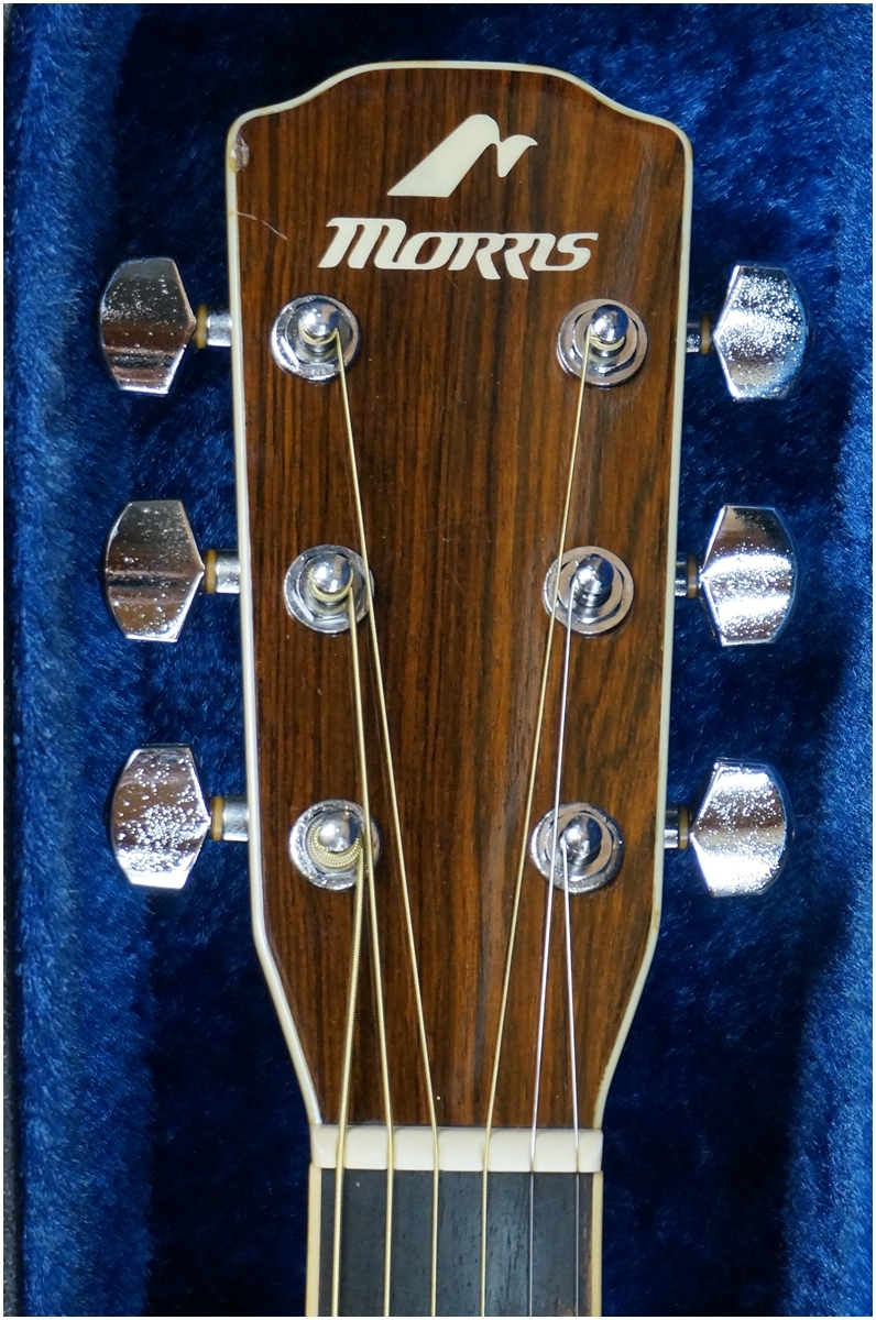 Morris☆モーリス☆アコースティックギター☆トップ単板 ハカランダ
