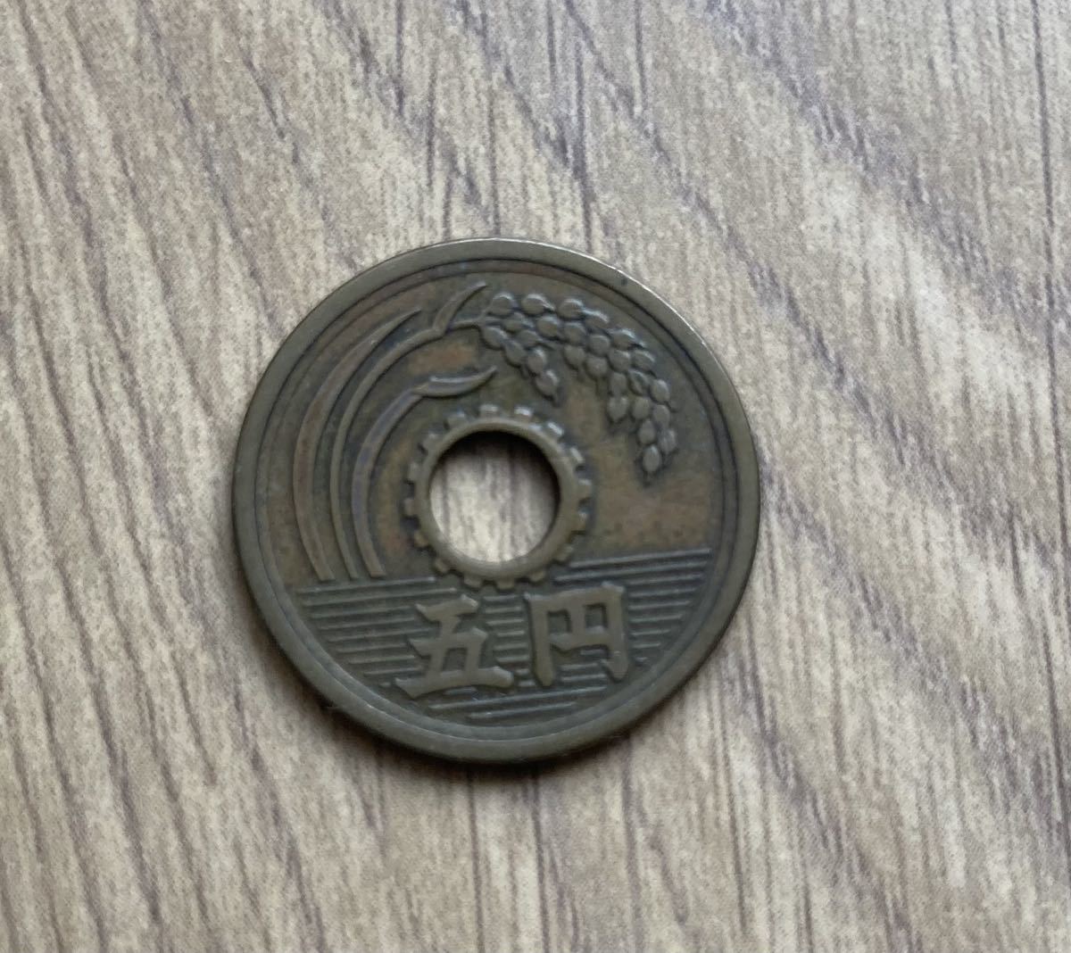 5円硬貨 昭和26年　送料込_画像1