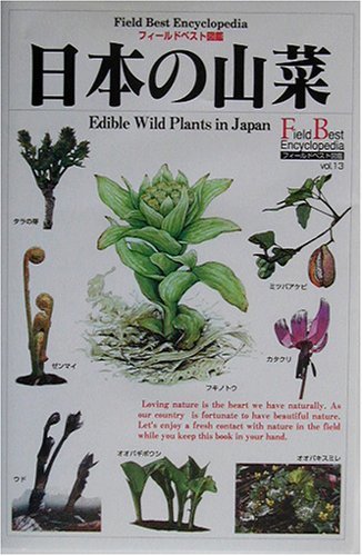 【中古】 日本の山菜 (フィールドベスト図鑑)_画像1