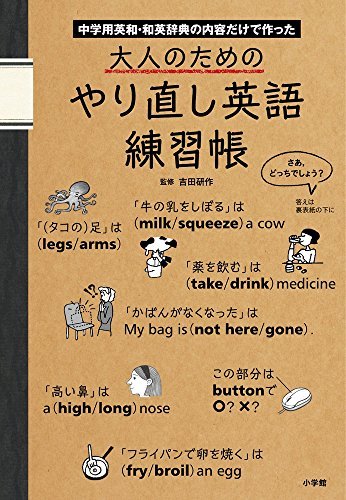 【中古】 大人のためのやり直し英語練習帳: 中学用英和・和英辞典の内容だけで作った (実用外国語)_画像1