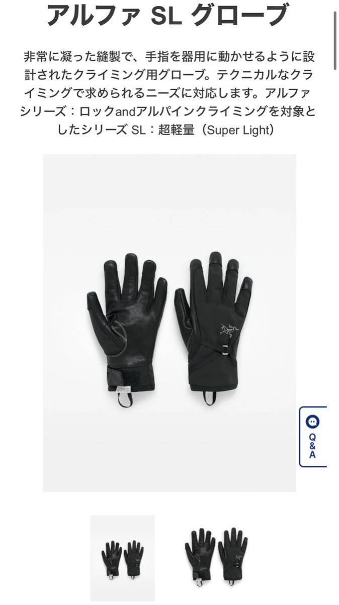 新品 Arc'teryx アークテリクス アルファ SL グローブ 手袋 ブラック Mサイズ ユニセックス キャンプ 登山 アウトドア レザー ナイロン