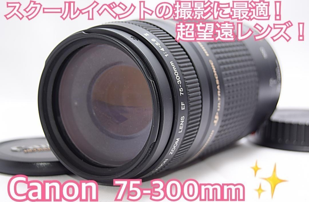 新品級 キャノン 望遠レンズ 大迫力の300㎜ Canon EF75-300㎜｜PayPay