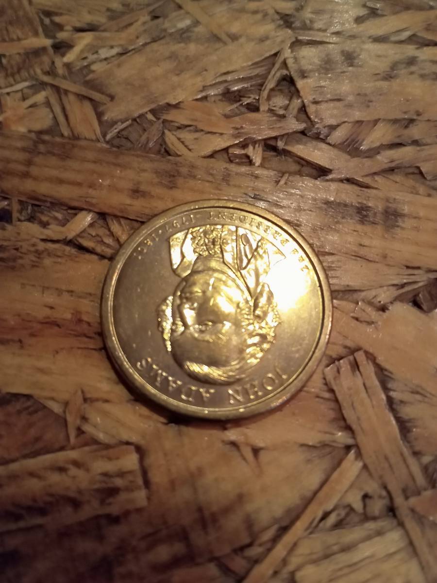 アメリカ硬貨,コイン,1ドル,自由の女神,ペンダント,ネックレス,ゴールド色_画像5