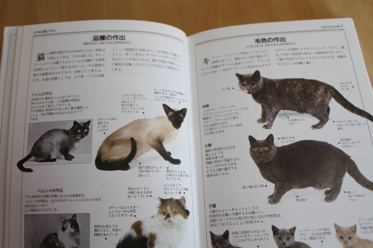 　猫の写真図鑑_画像3