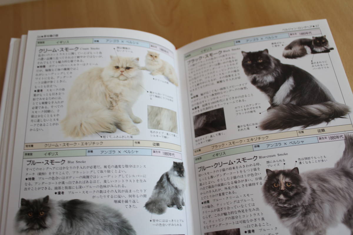 　猫の写真図鑑_画像6