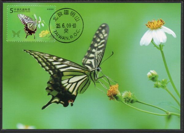 MC H903 台湾 昆虫 蝶 4V完貼り(4通組) 2009年発行 マキシマムカード_画像2
