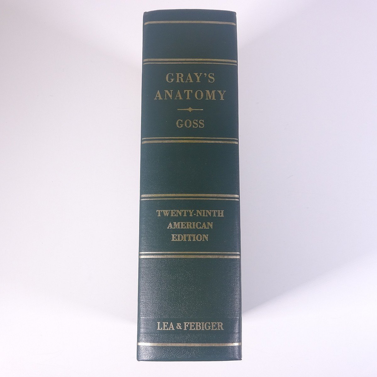 【英語洋書】 GRAY’S ANATOMY グレイズ・アナトミー グレイの解剖学 ヘンリー・グレイ著 1973 大型本 医学 医療 治療 病院 医者_画像3