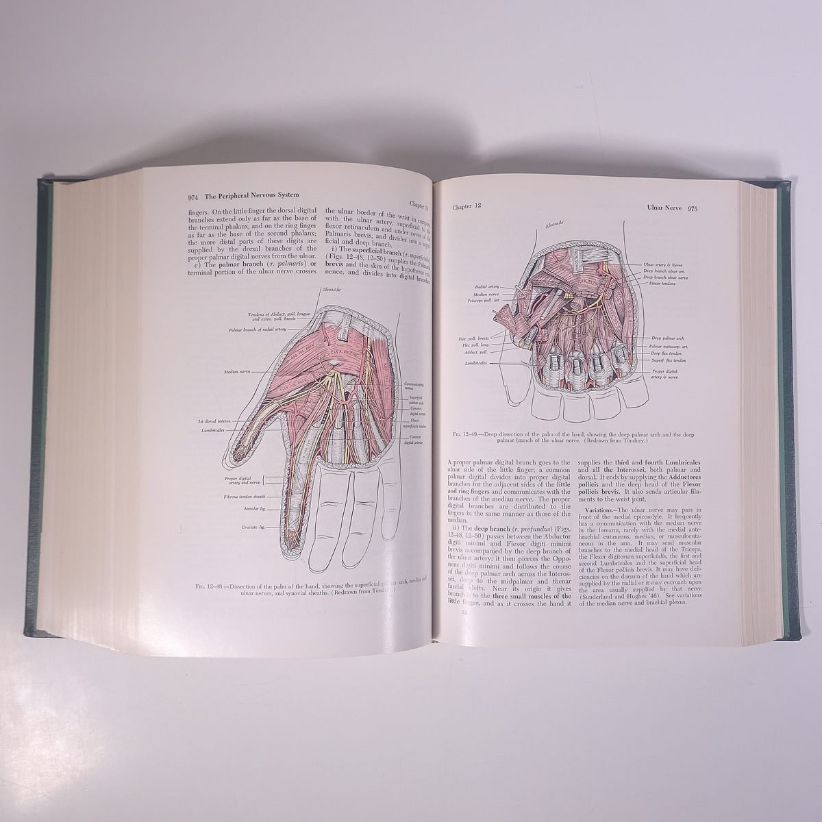 【英語洋書】 GRAY’S ANATOMY グレイズ・アナトミー グレイの解剖学 ヘンリー・グレイ著 1973 大型本 医学 医療 治療 病院 医者_画像9