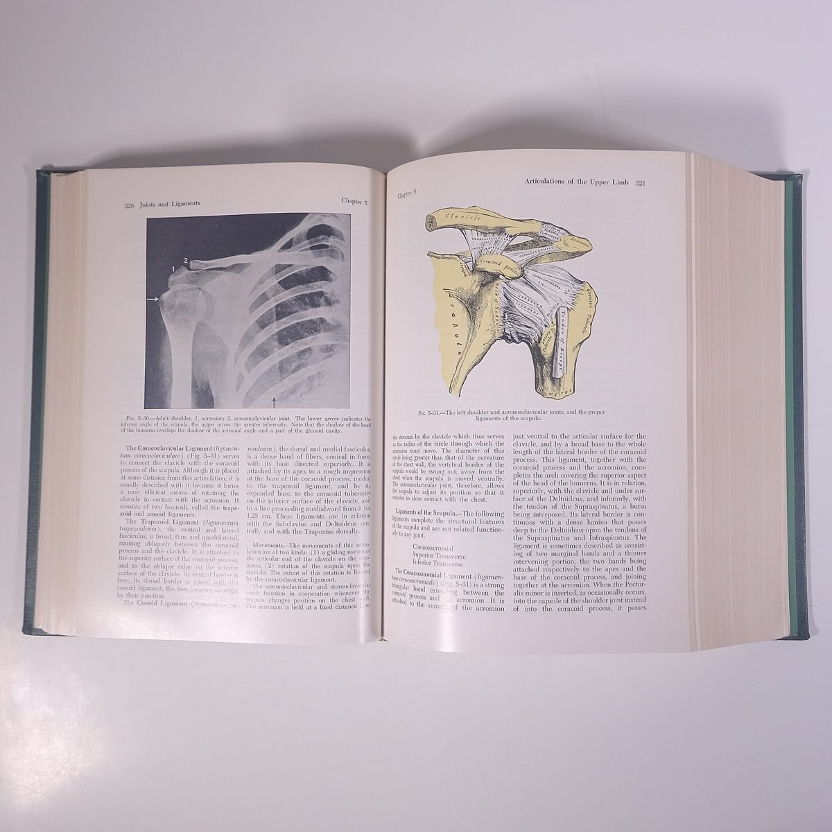 【英語洋書】 GRAY’S ANATOMY グレイズ・アナトミー グレイの解剖学 ヘンリー・グレイ著 1973 大型本 医学 医療 治療 病院 医者_画像8