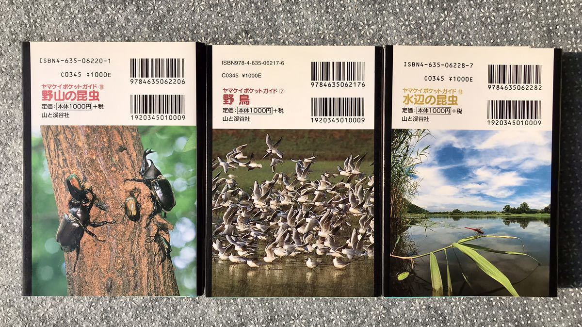 ヤマケイポケットガイド「野鳥」「野山の昆虫」「水辺の昆虫」3冊まとめて 山と渓谷社　送料無料_画像2