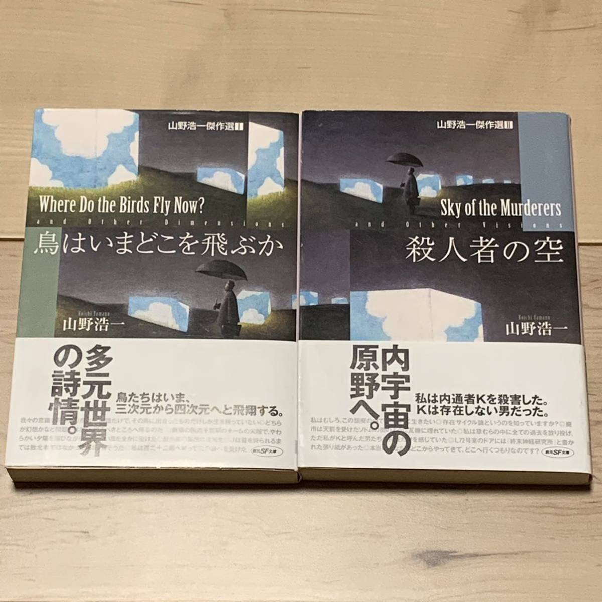 初版帯付set 山野浩一 鳥はいまどこを飛ぶか/殺人者の空 創元SF文庫_画像1