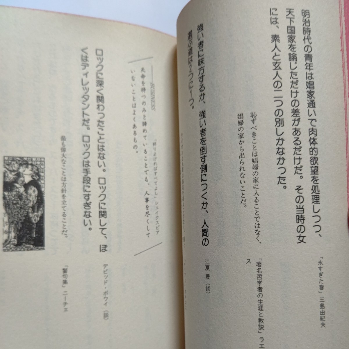 スルドイ言葉の辞典 一味違う名言名句集 文学映画 歌 野球相撲 記者会見 劇団 芸人 哲学者 諺 映画ポスター 文学作品書き出し末尾ほか多数_画像9