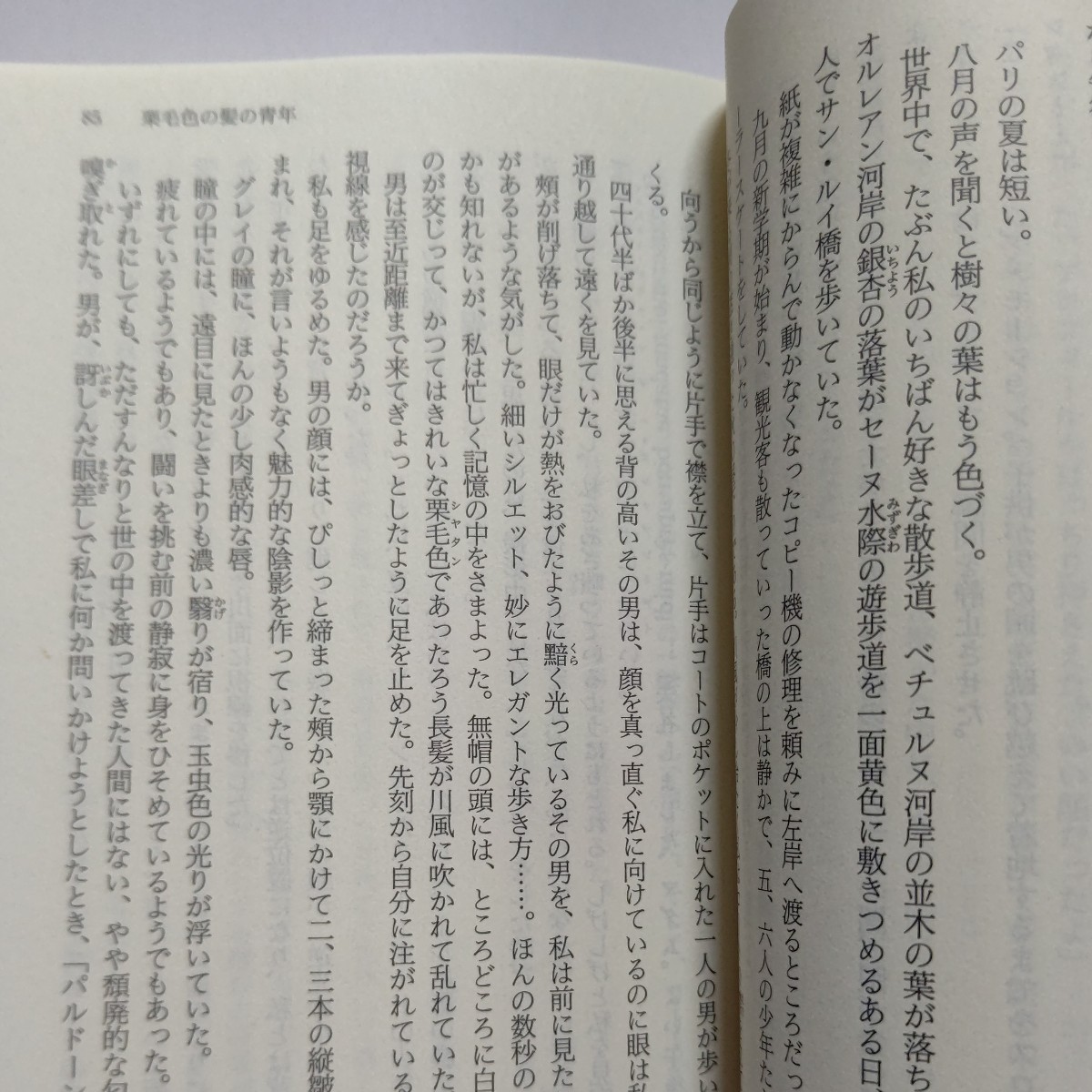 ３０年の物語 （講談社文庫） 岸惠子　私の心にパリが刻んだ光と影。珠玉の１２エッセイを収録。
