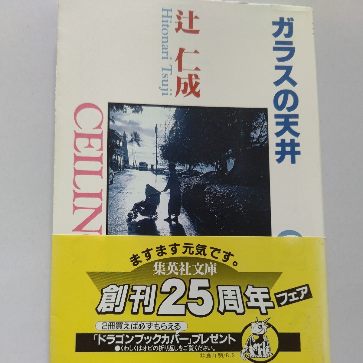 美品 ガラスの天井 辻仁成 お前は誰だ?僕はいつも僕に訊いてきた 雪降る街の体験 ロックで出会った人々。孤独を友としてきた心の軌跡を綴る_画像1