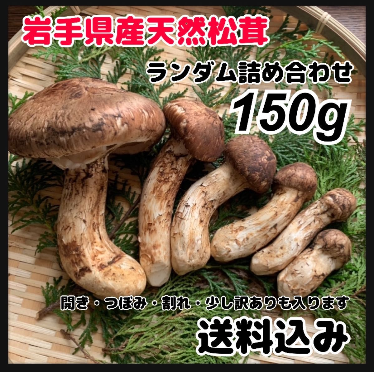 ②岩手県産天然松茸【岩手県産】松茸 290g 国産本場 本日採れたて