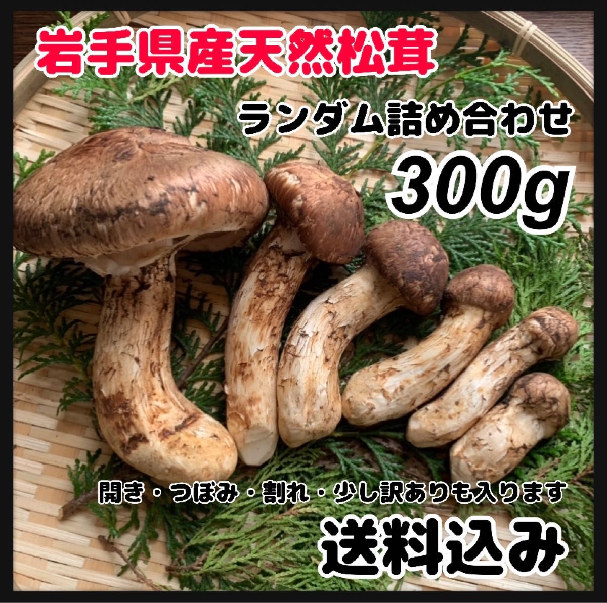 ④岩手県産天然松茸【岩手県産】松茸 203g 国産本場 本日採れたて