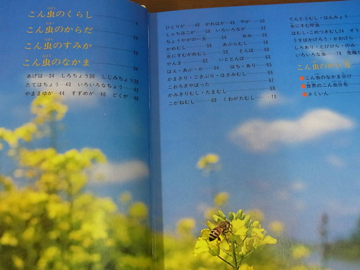 ヤフオク こども生物図鑑 こんちゅう昆虫 世界文化社 19 ヤフオク こども生物図鑑 こんちゅう昆虫 世界文化社 19