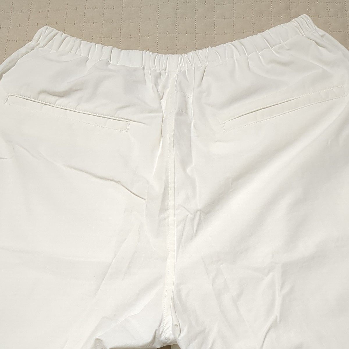 Steven Alan＞ TC BIO PANTS 参考価格 18700円 - スラックス