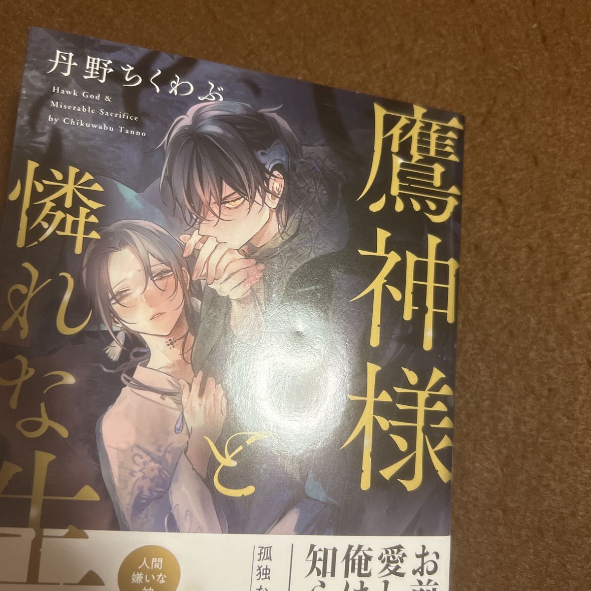 丹野ちくわぶ「鷹神様と憐れな生贄」「兄弟ごっこはもうおしまい」【新品未開封・未読・中古】