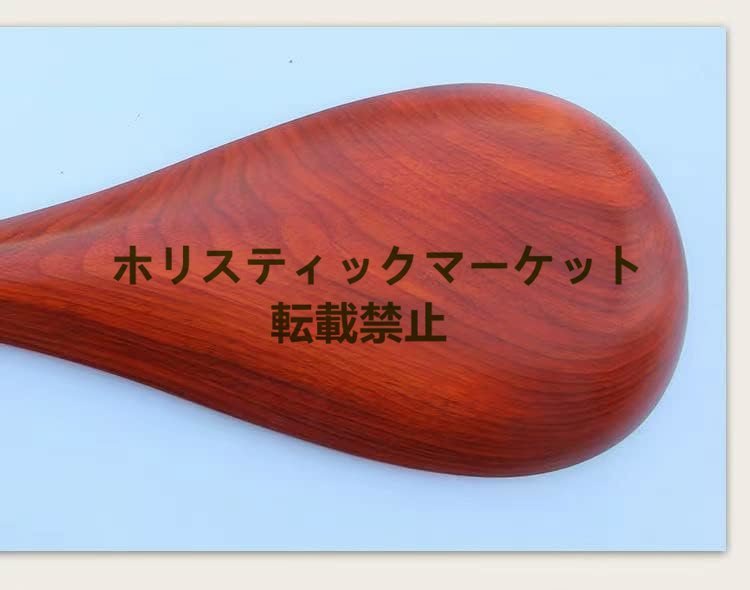  new goods recommendation * most high quality China musical instruments biwa musical instruments tools and materials traditional Japanese musical instrument Q0347