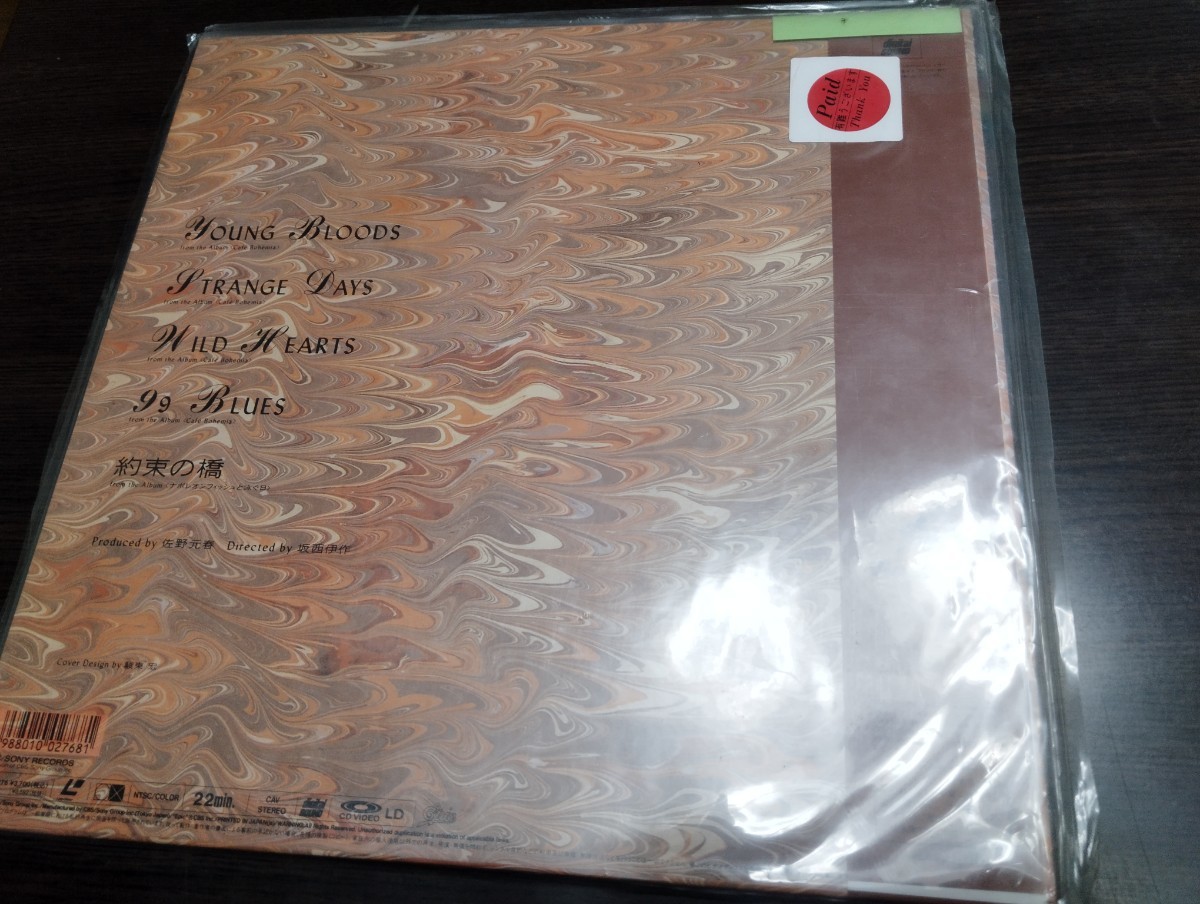 151 Sano Motoharu laser disk ultra rare record 