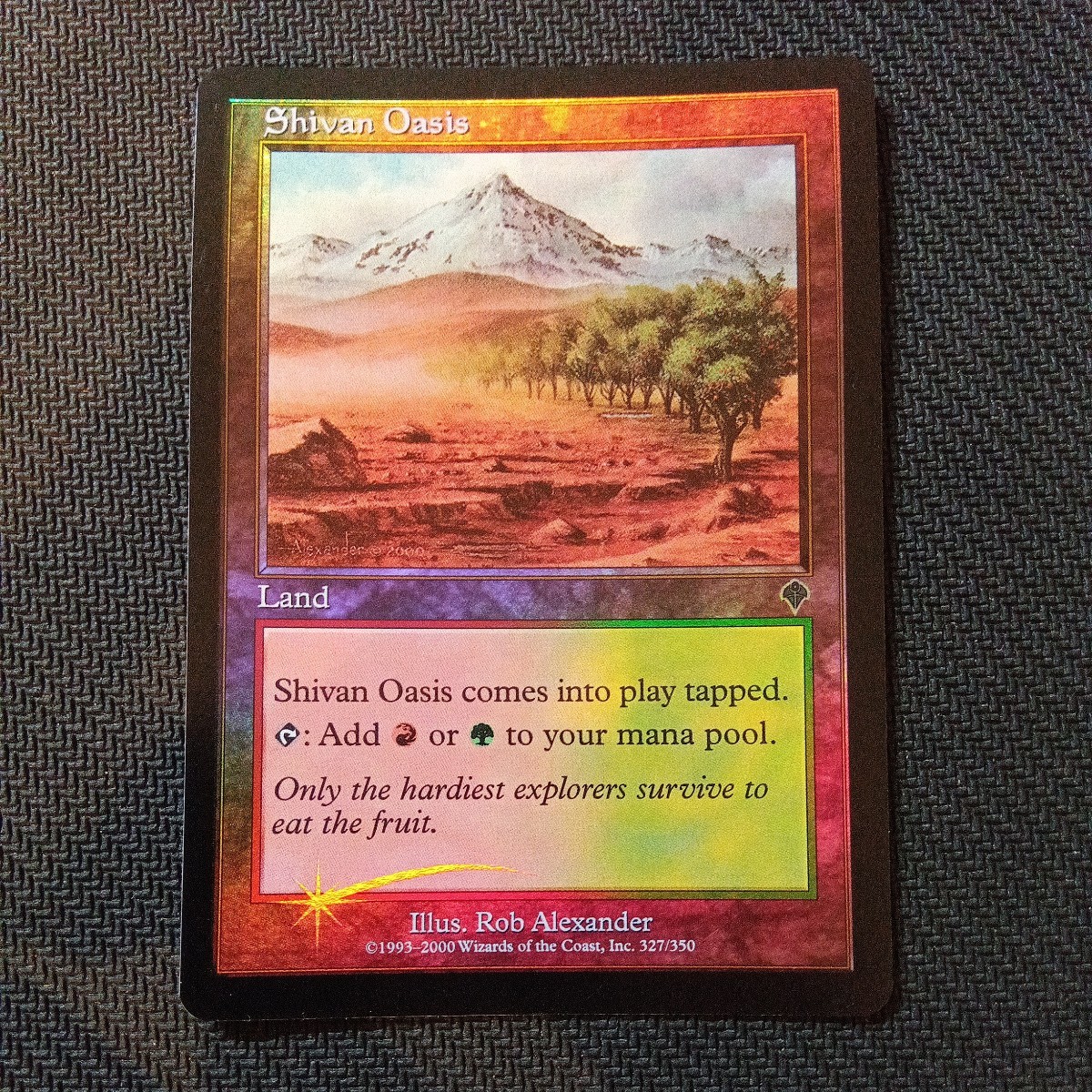 MTGシヴのオアシスfoil_画像1