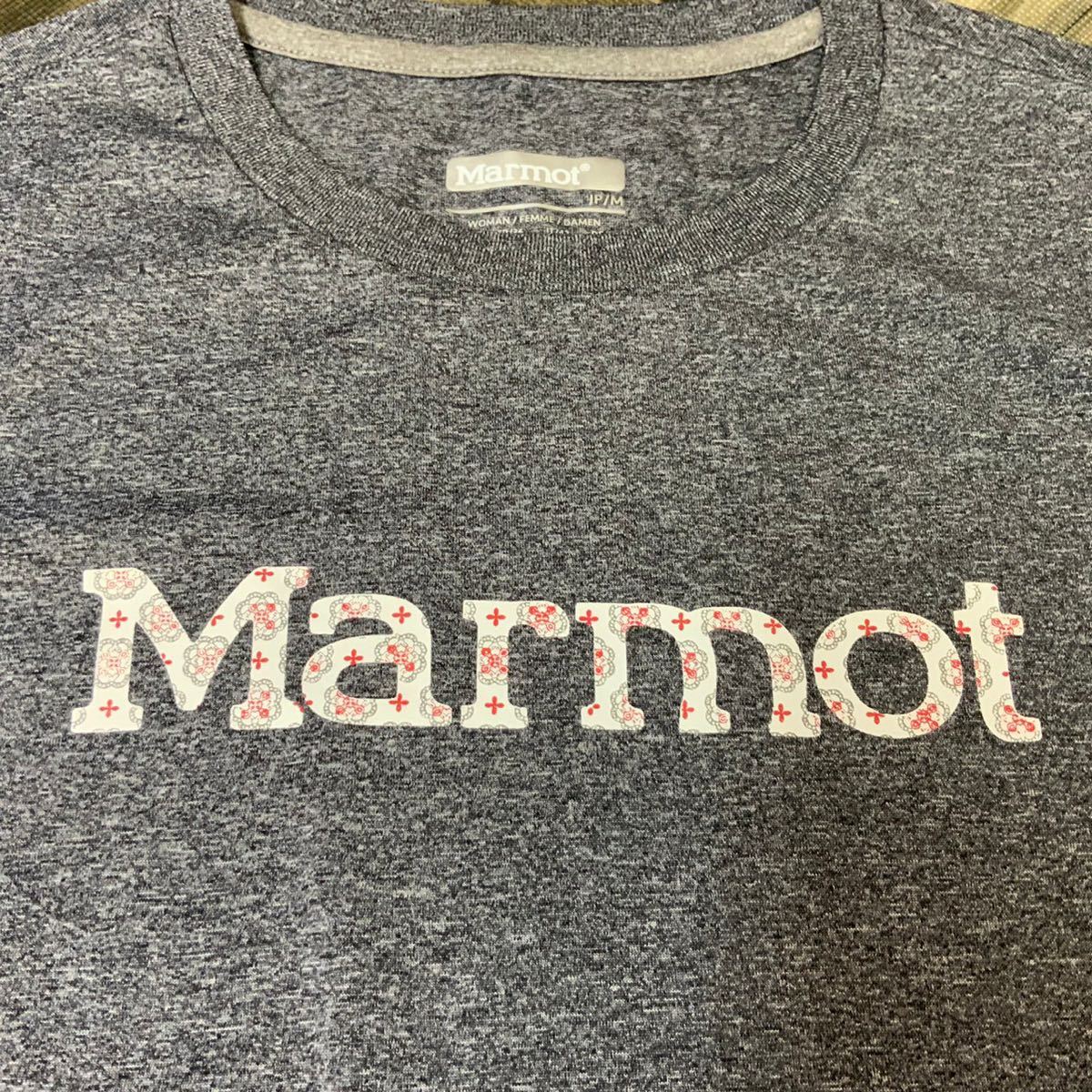 美品　Marmot　マーモット　ストレッチ　ドライ素材　半袖Tシャツ　カットソー　レディース　Mサイズ　アウトドア　グレー　デサント_画像3