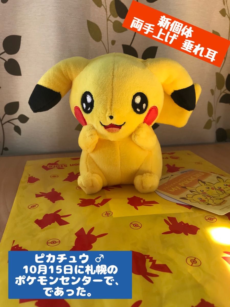 ポケモンセンター限定 マイピカチュウ 垂れ耳 キラ目 両手上げ 希少個体