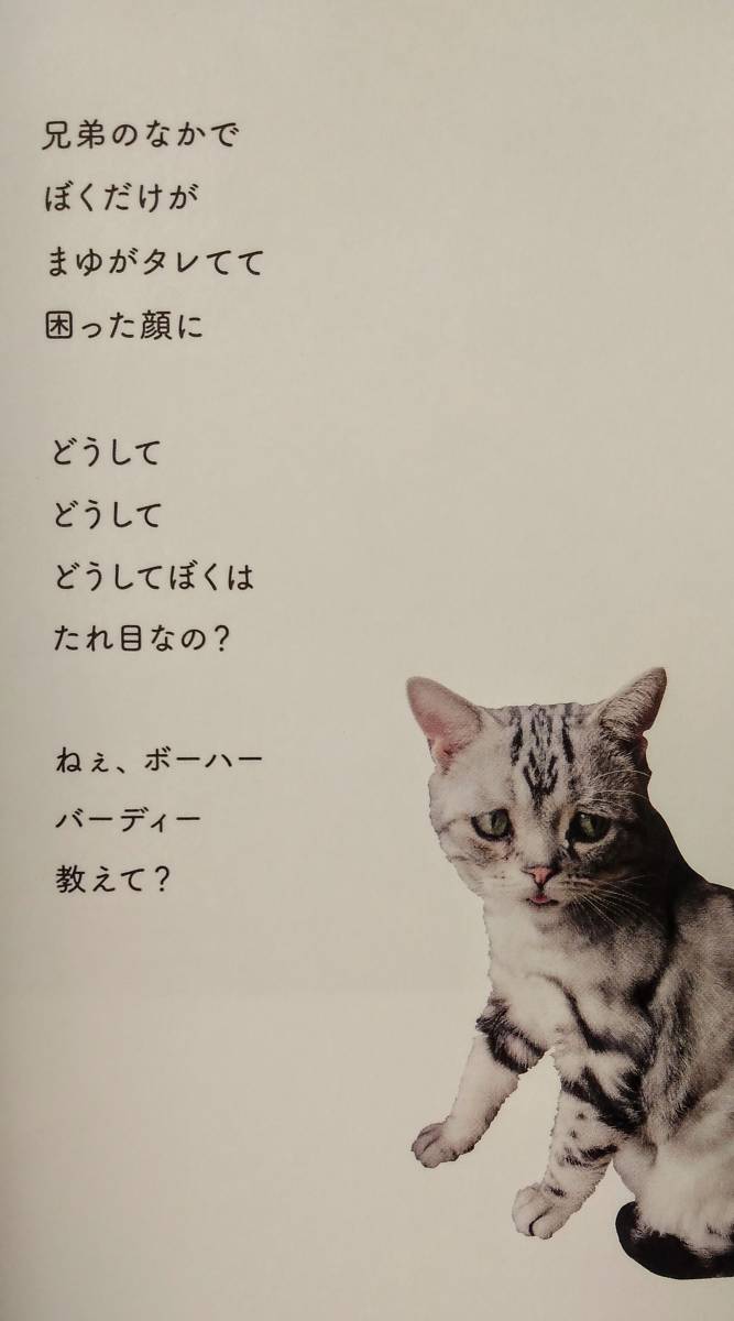 【世界一さびしそうな顔の猫 ルフちゃん】◆著者:マギー・リウ ◆2016年 3月24日 初版発行 ◆タレ目猫 ルフ ◆アメリカンショートヘア_画像9