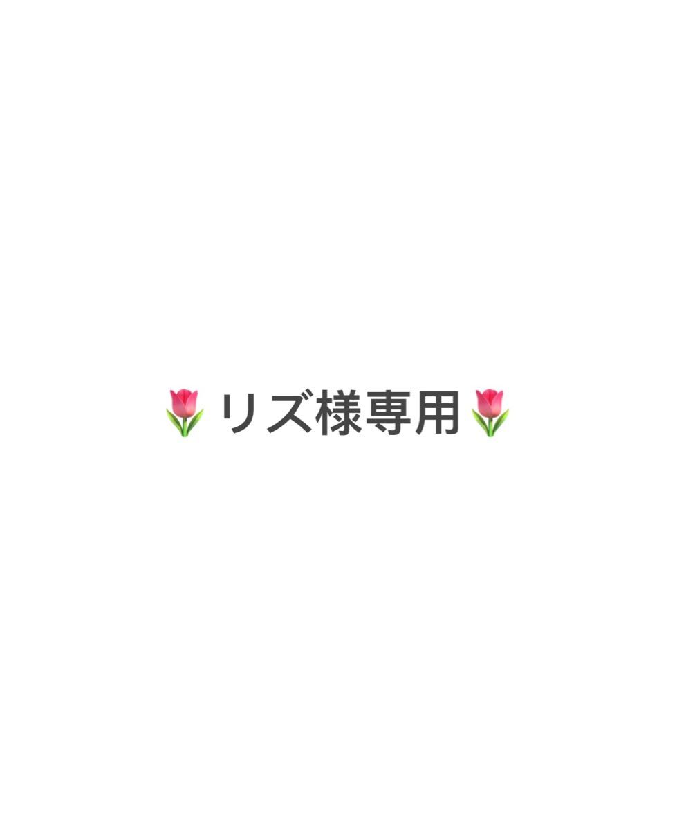 じゃがりこ様専用ページです|PayPayフリマ