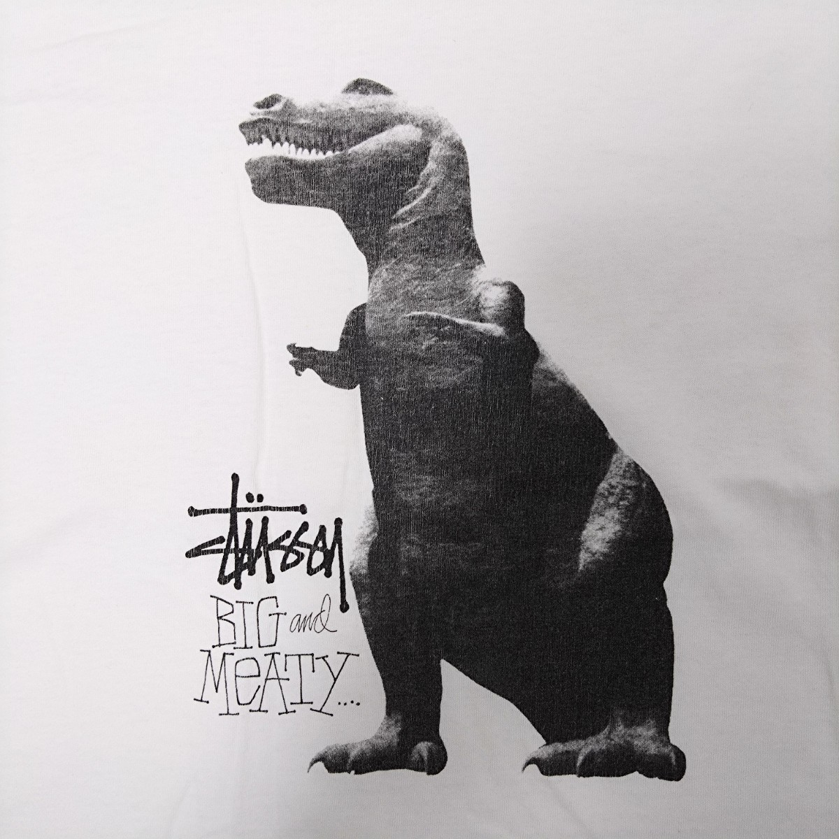 STUSSY T-REX ARCHIVES フォトT Mサイズ レア 古着 ステューシー ティラノサウルス 恐竜 Tシャツ