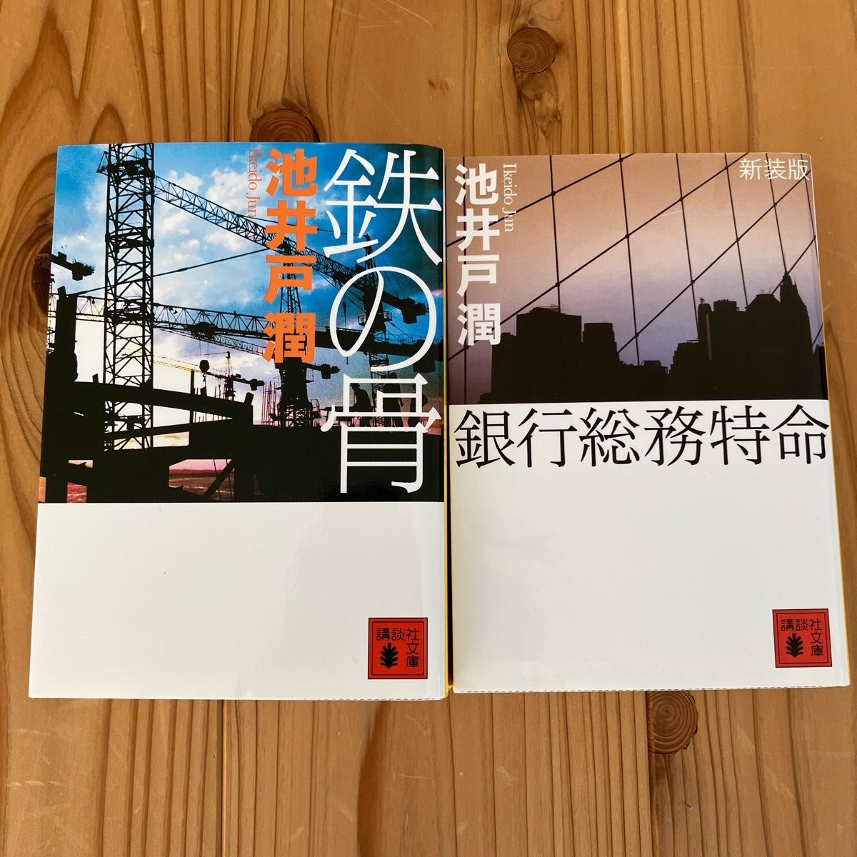 鉄の骨　銀行総務特命　池井戸潤