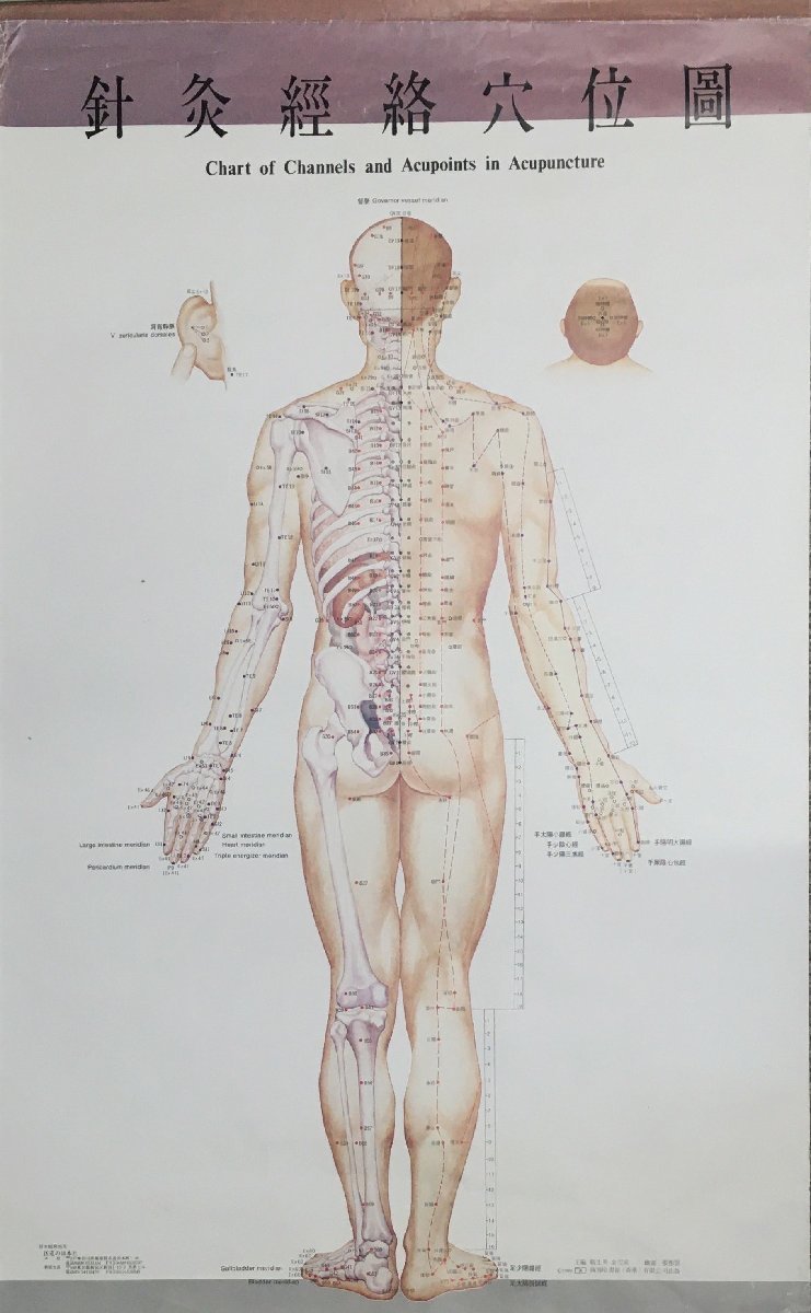 『針灸 経絡穴位図及解説 5図 新士英/金完成:解説 大判ポスター』商務印書館 医道の日本社_画像3