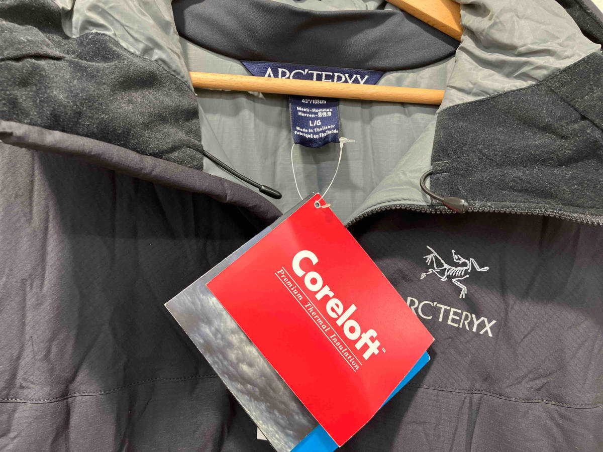ARC TERYX ATOM SV HOODY sv