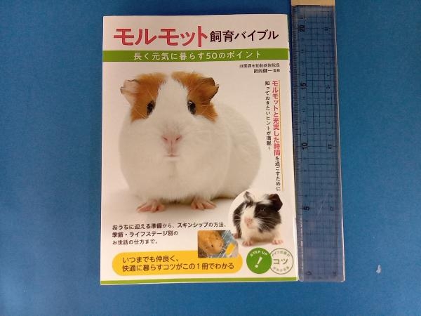 モルモット飼育バイブル 田向健一_画像1