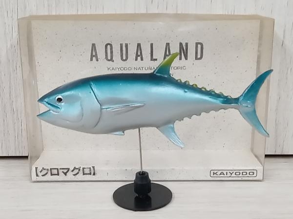 再入荷！】 アクアランド 入手困難□海洋堂 ピラルク 海遊館