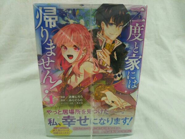 二度と家には帰りません！ 小説 1～6巻+コミカライズ 1～6巻 計12冊セット みりぐらむ／遊喜じろう オーバーラップ_画像2