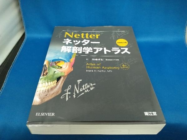 ネッター解剖学アトラス 原書第6版 Frank H.Netter　【管B】