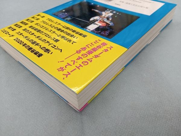 引きこもりでポンコツだった私が女子プロレスのアイコンになるまで 岩谷麻優_画像4