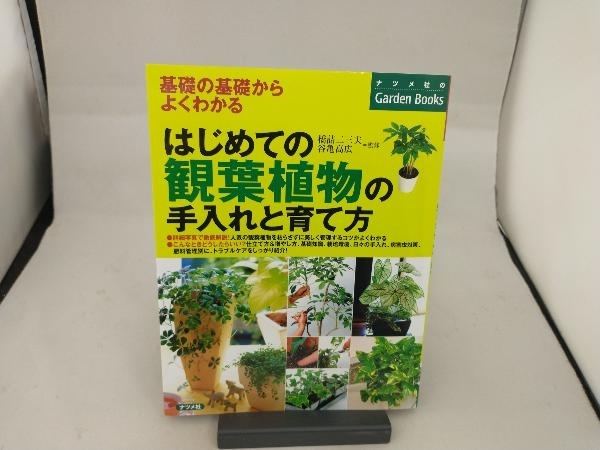 はじめての観葉植物の手入れと育て方 橋詰二三夫_画像1