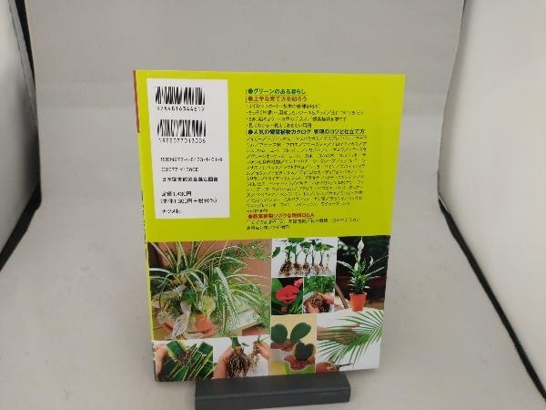 はじめての観葉植物の手入れと育て方 橋詰二三夫_画像2