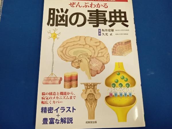 ぜんぶわかる脳の事典 坂井建雄_画像1