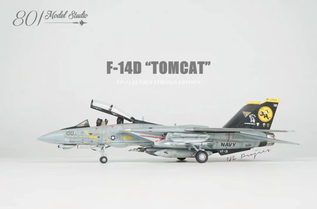 1/72 アメリカ空軍 F-14D 塗装済完成品_画像1