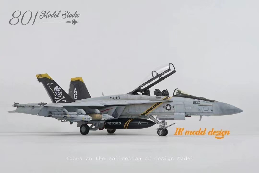 1/48 America Air Force F/A-18F painted final product 