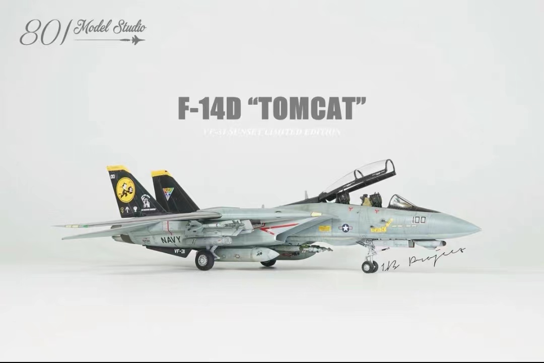 1/72 アメリカ空軍 F-14D 塗装済完成品_画像2