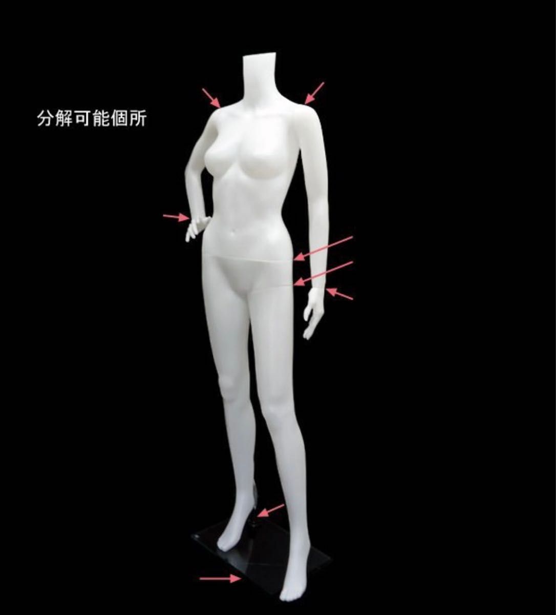 全身 トルソー マネキン 女性 レディース ヘッドレスタイプ 業務 全身 トルソー マネキン 女性 レディース ヘッドレスタイプ 業務