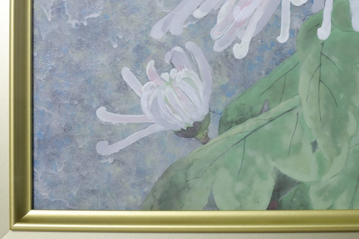 松本高明「菅菊」4号相当 日本画 額装品 静物画-