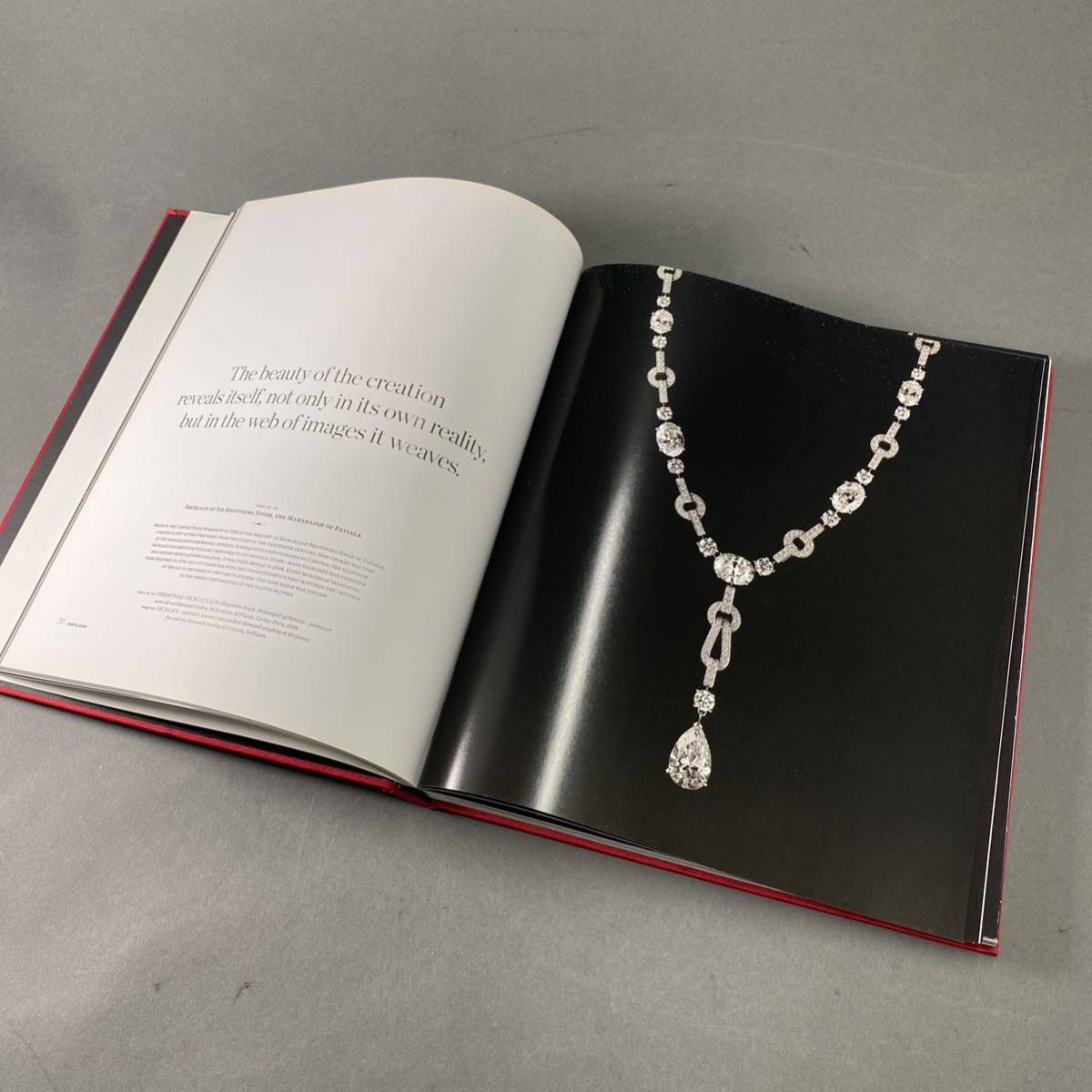 j31《洋書》カルティエ ハイジュエリー カタログ 歴史本 CARTIER カルチェ_画像4